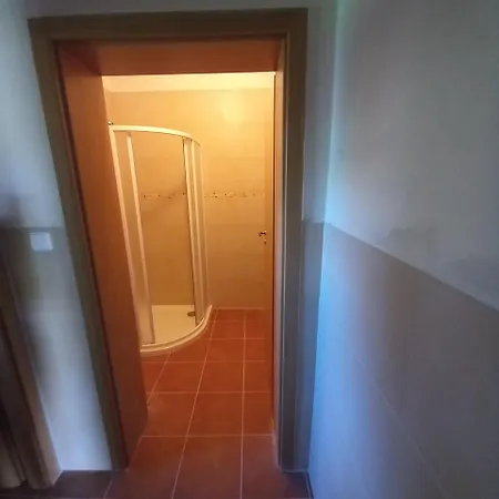 V Risnici Apartment *