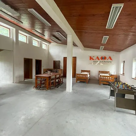 V Risnici Apartment *